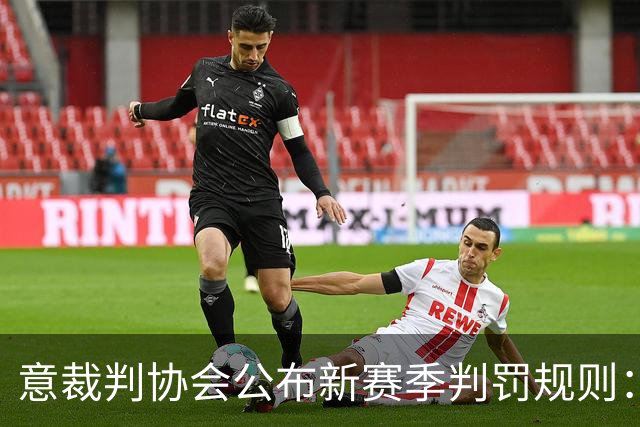 意裁判协会公布新赛季判罚规则：捂嘴不会吃红牌，VAR可介入第2黄