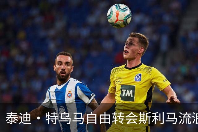 泰迪·特乌马自由转会斯利马流浪者，签约两年