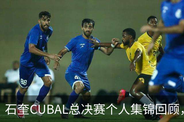 石奎CUBAL总决赛个人集锦回顾，全场得到33分11篮板